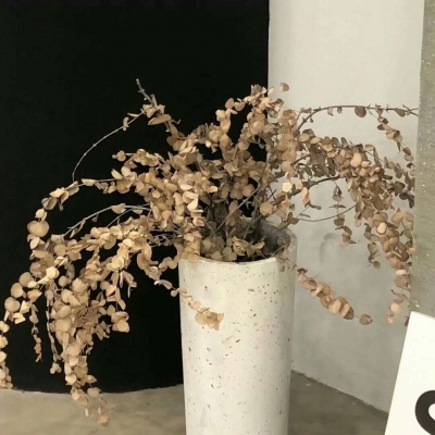 Furry创作脑洞合集兽圈社群